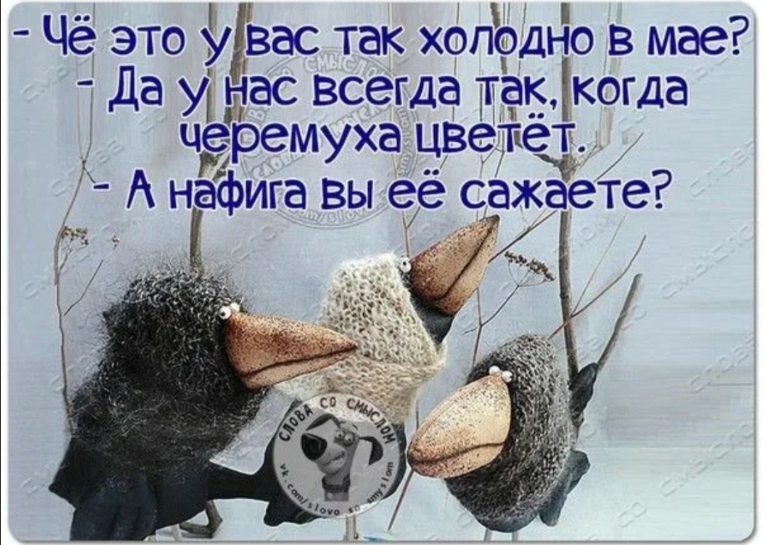 Из интернета 