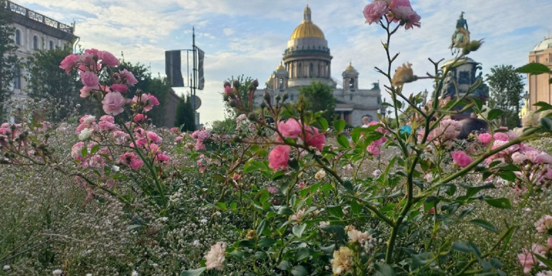 Потоки туристов из Крыма идут в Санкт-Петербург и на Кавказ