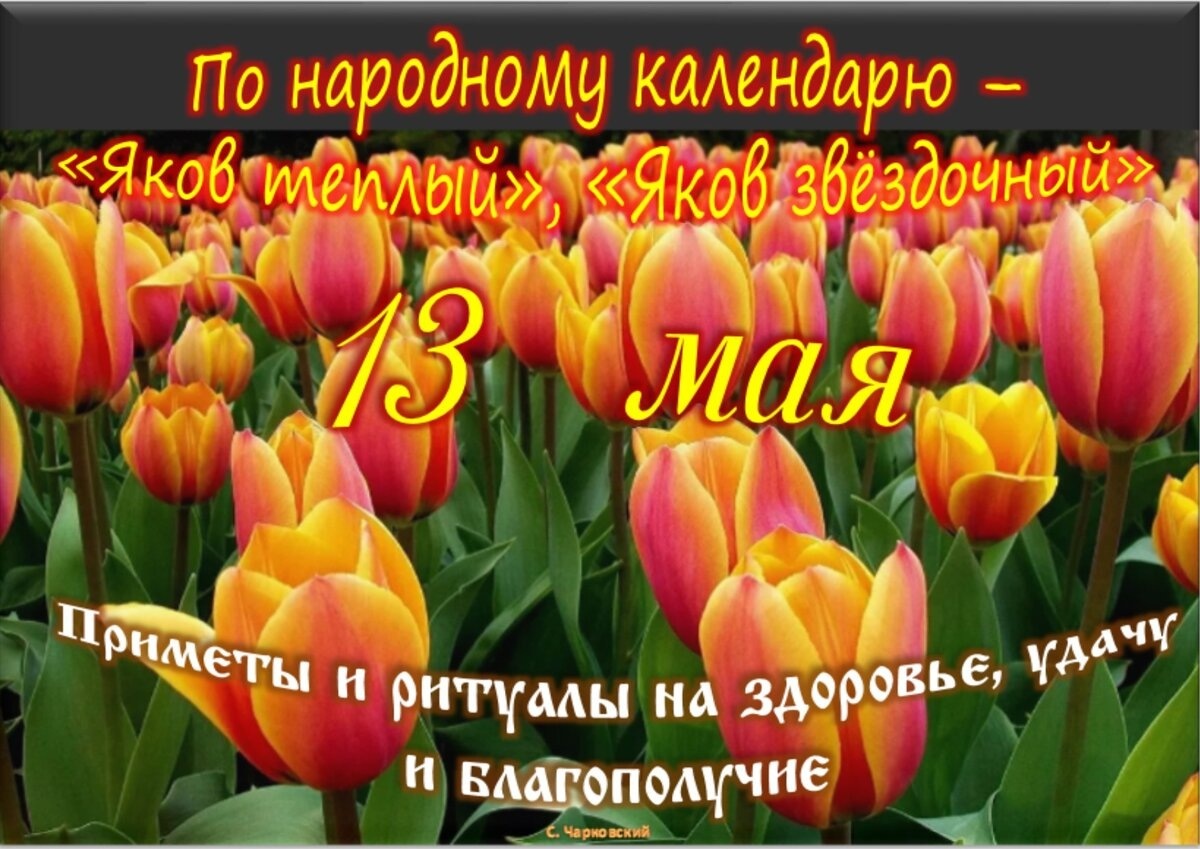 Встречаем новый день