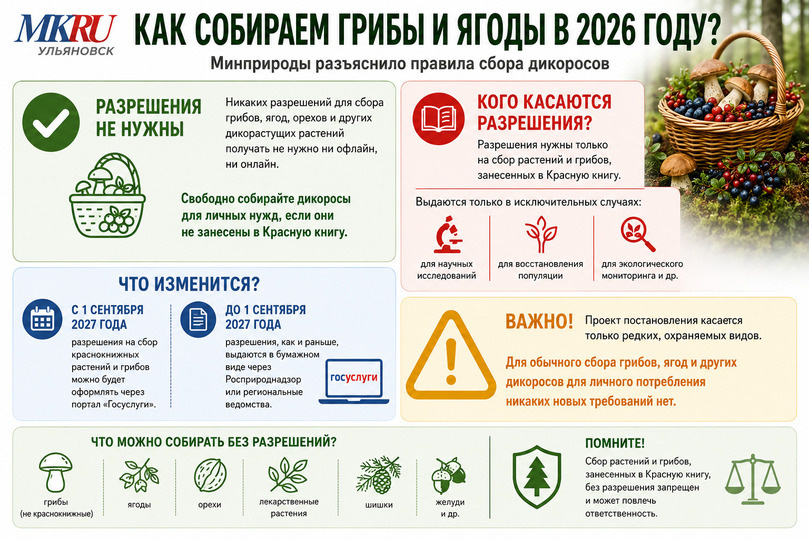   Создано с помощью ИИ
