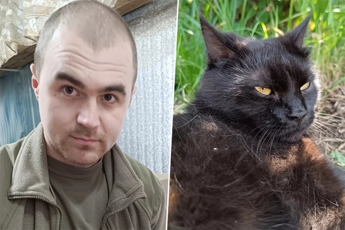    Боец с позывным Зять и кот по кличке Штирлиц.