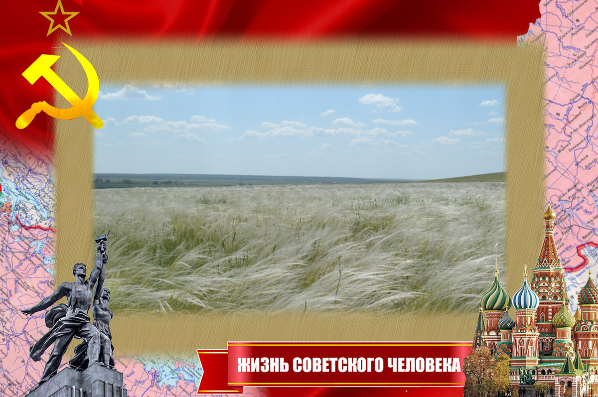 Ковыль в степи
