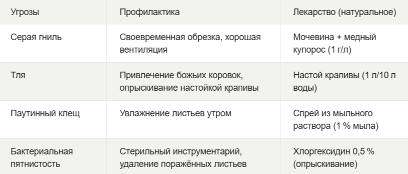 Часть 2.