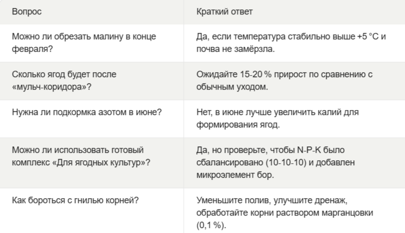 Часть 3. Завершение. Малиновая лихорадка — секреты весеннего ухода для сладкого урожая