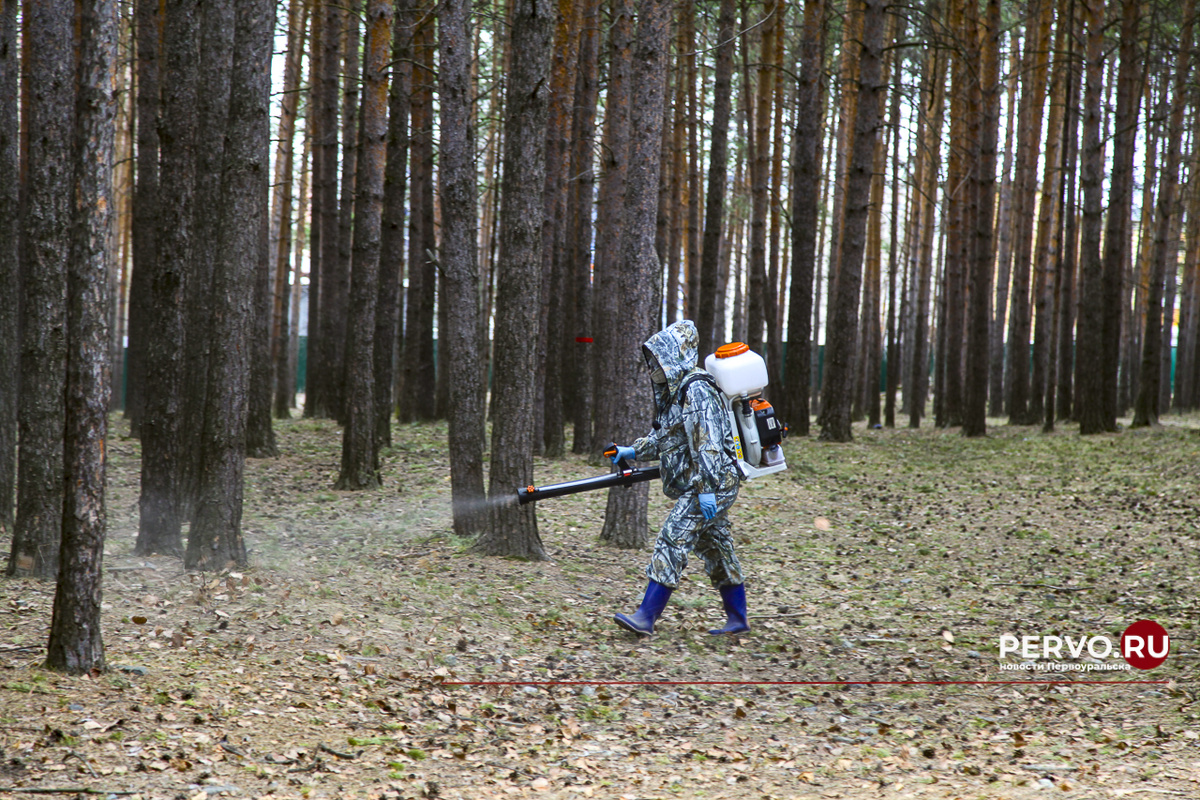 Фото Кравчук Максим / www.pervo.ru
