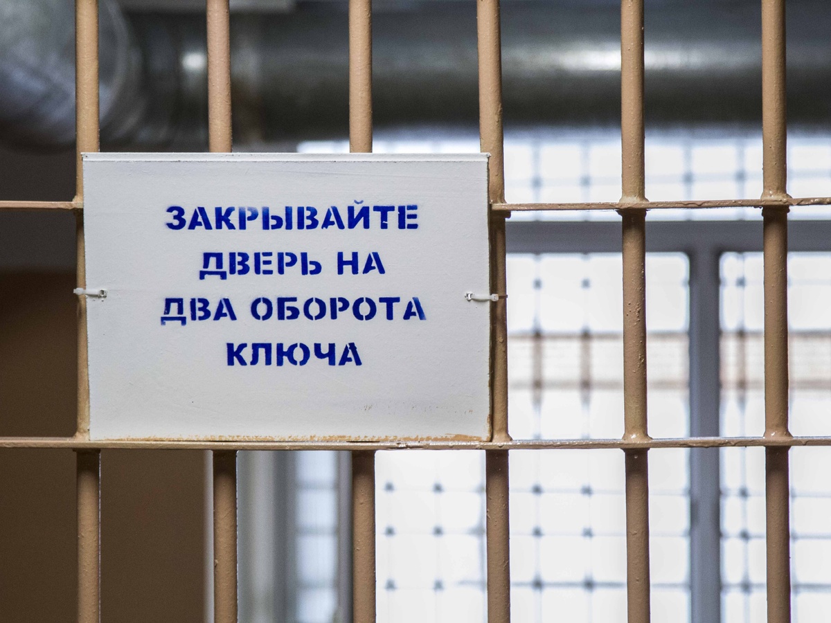    Фото: Общественная служба новостей
