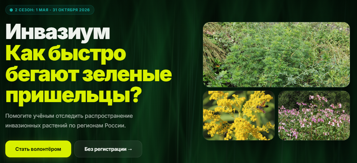 Инвазиум, https://app.udobnygorod.ru/invazium/