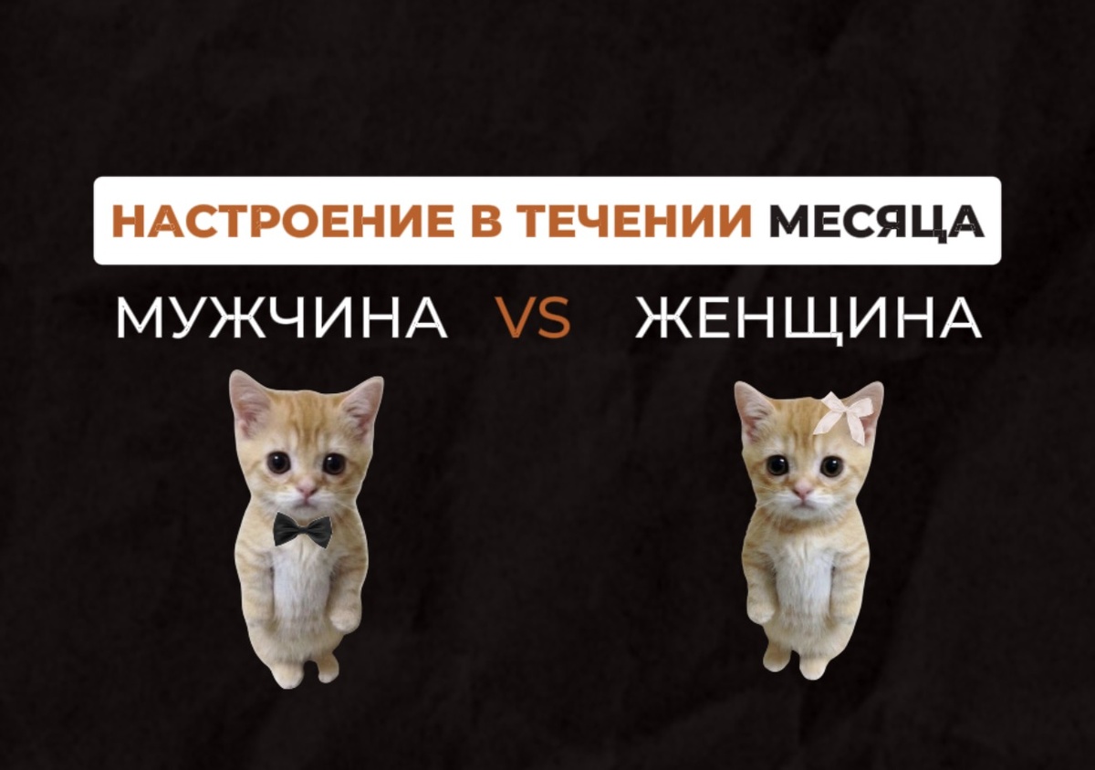 Пост про фазы менструального цикла 