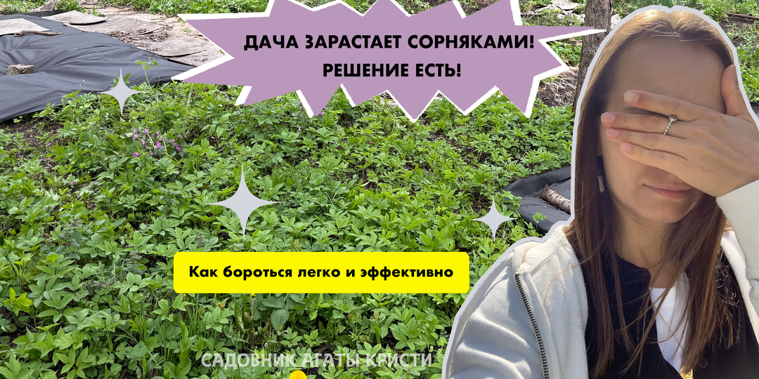 Дача зарастает сорняками! Решение есть! Как бороться с порослью эффективно и легко?