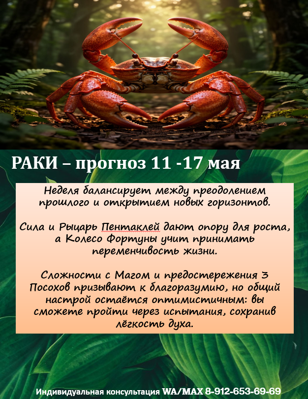 картинка принадлежит автору канала