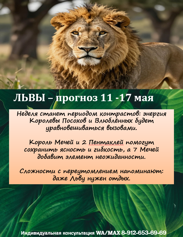 картинка принадлежит автору канала