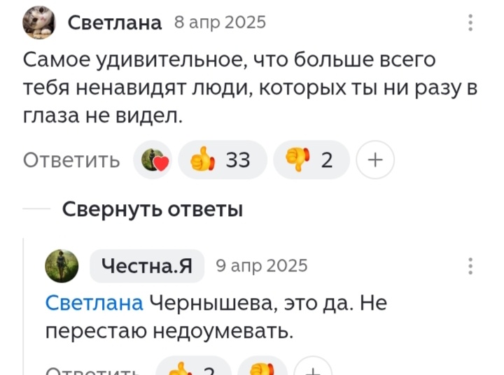 И за что же бедолажку Светлану ненавидят? Я даже не могу предположить из-за чего....