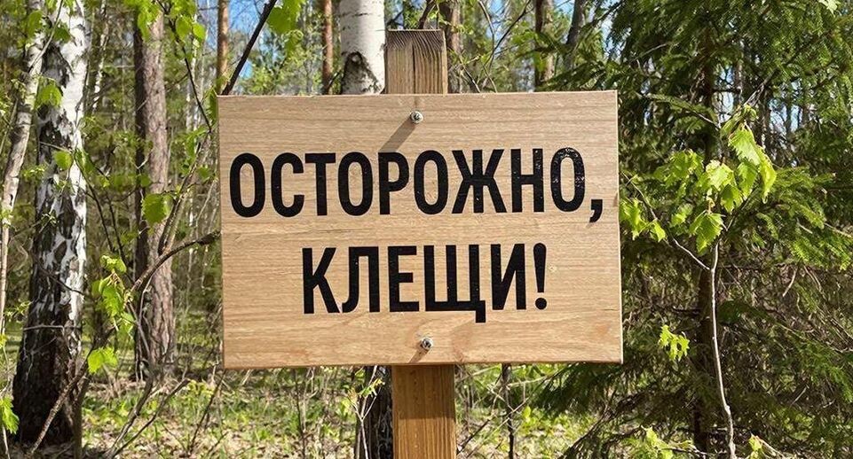    REGIONS/Сгенерировано нейросетью