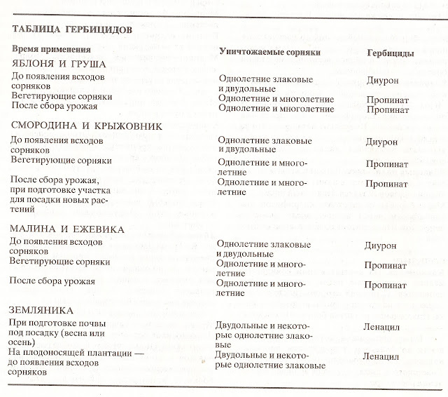 Вредители и болезни садовых деревьев