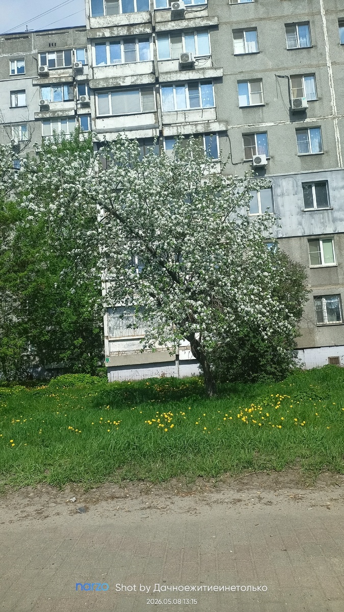 На выезде из города