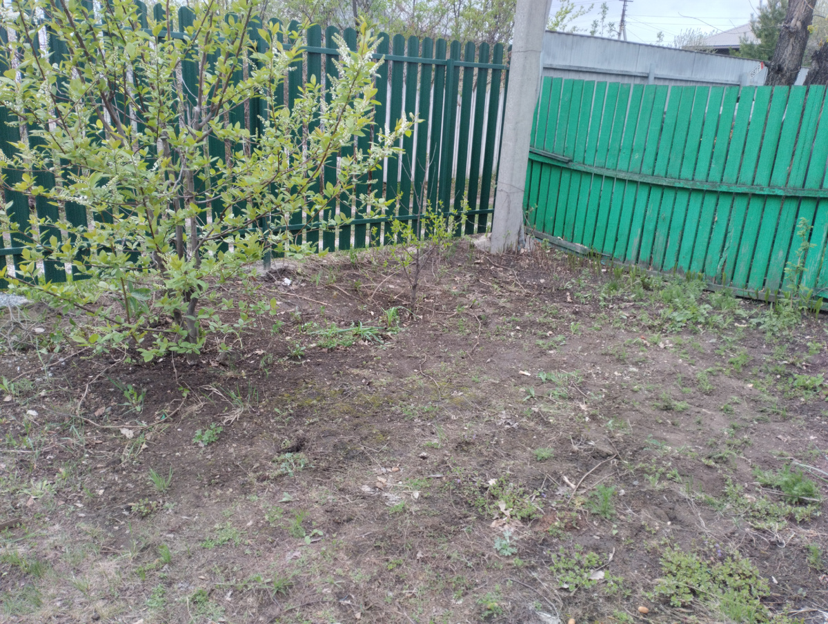 Стало. 