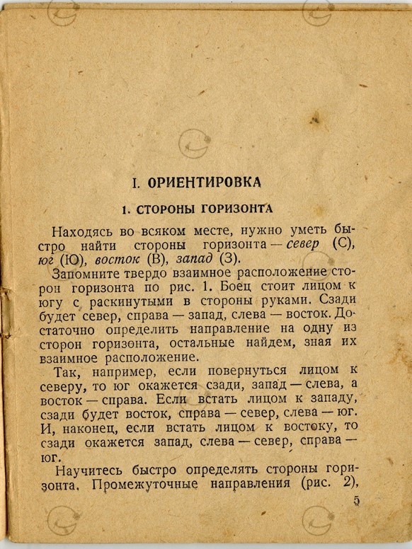Как определить стороны света