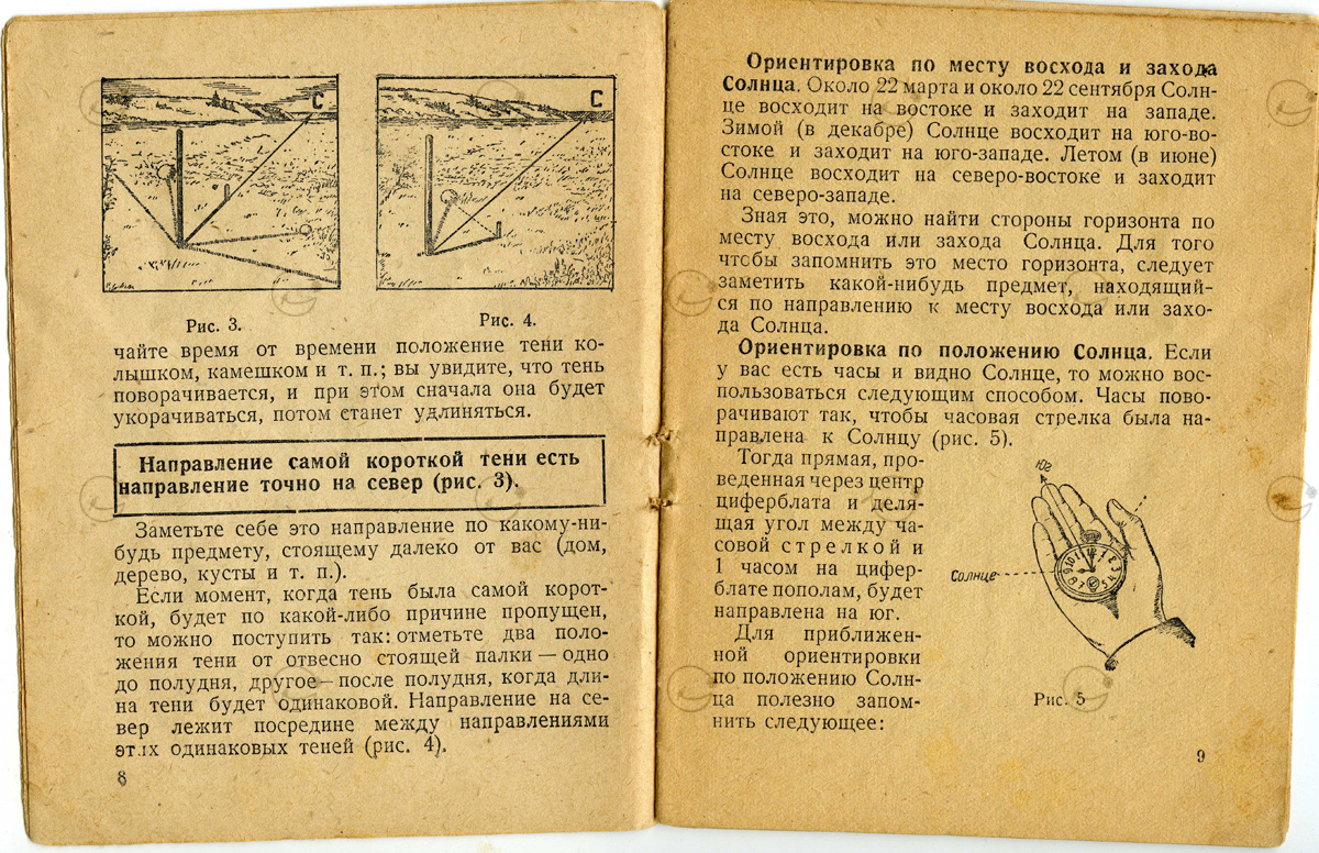 Как определить стороны света
