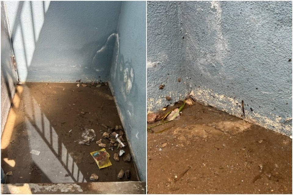    По словам жильцов дома, вода в подвале уже выше 30 сантиметров. Предоставлено "Комсомолке"