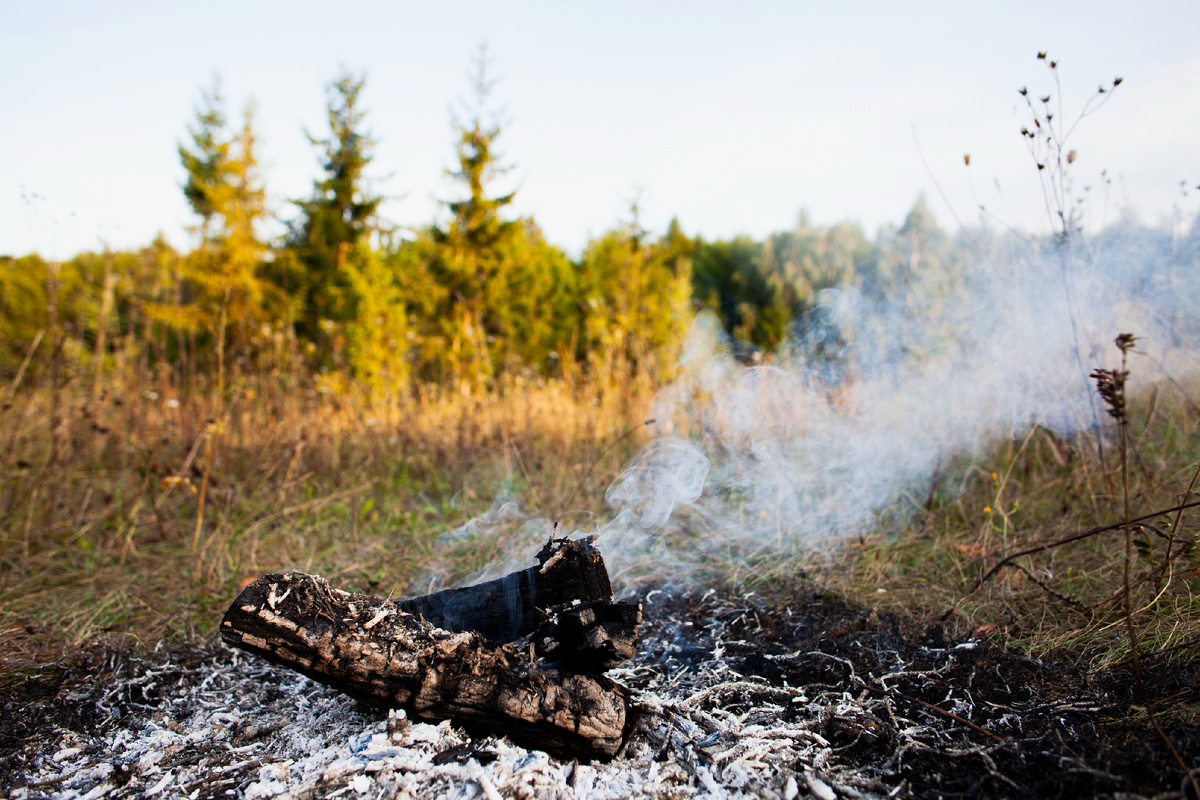 <a href="https://www.magnific.com/ru/free-photo/high-angle-fire-extinguish-smoke_5635077.htm">Изображение от freepik</a>