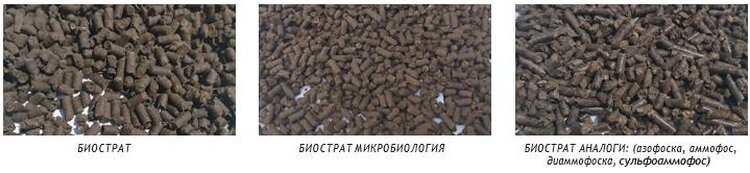     «БИОстратегия» – производитель органо- минеральных удобрений на различной основе
