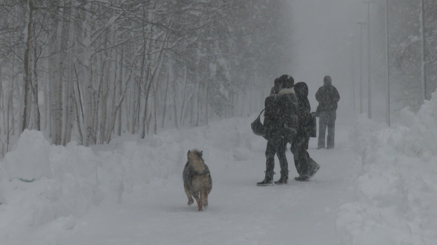    Фото: 5-tv.ru