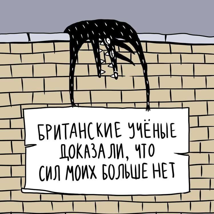 https://i.pinimg.com/1200x/7e/63/dd/7e63dd1609958170c77d6accb1e24f5b.jpg