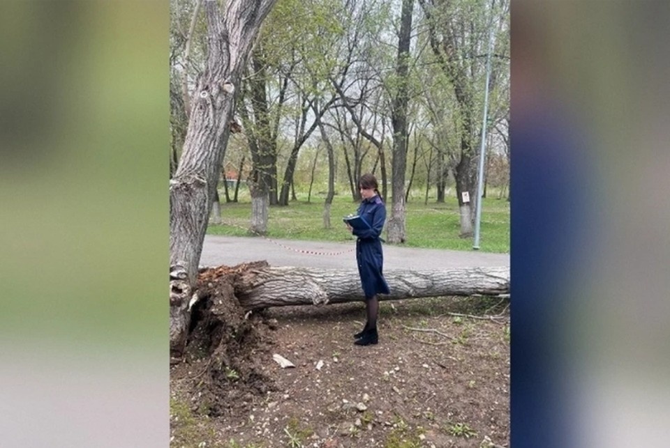    Часть собранных денег семья погибшей девочки передала ее пострадавшей подружке. Фото: СУ СК по Самарской области