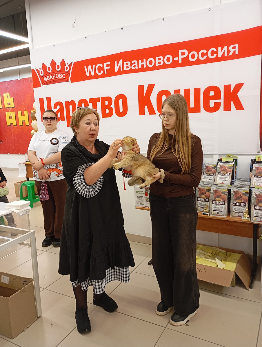Работает эксперт