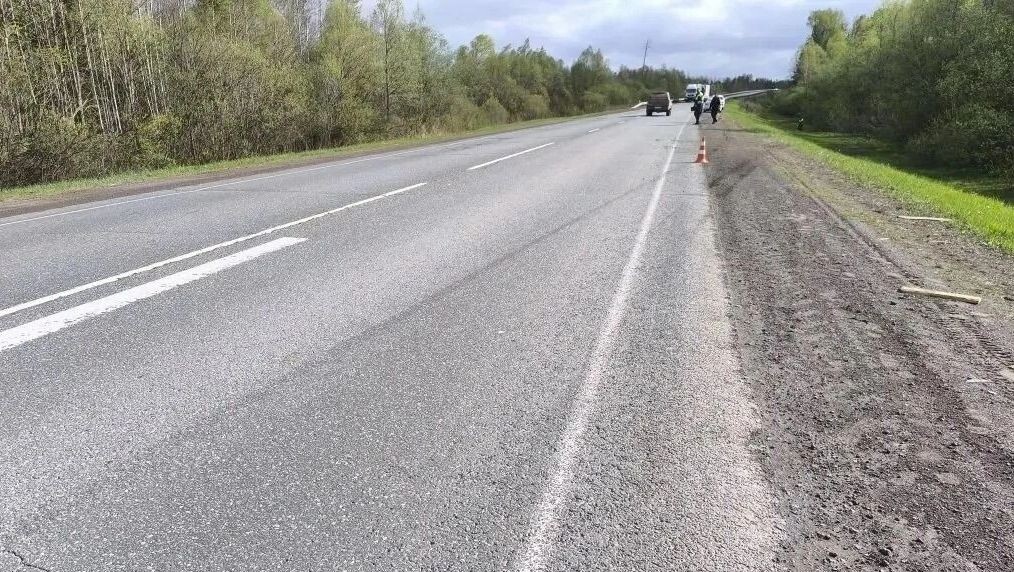    Пассажиры в автомобиле не были пристегнуты ремнями безопасности   Пресс-служба Госавтоинспекции по Удмуртии