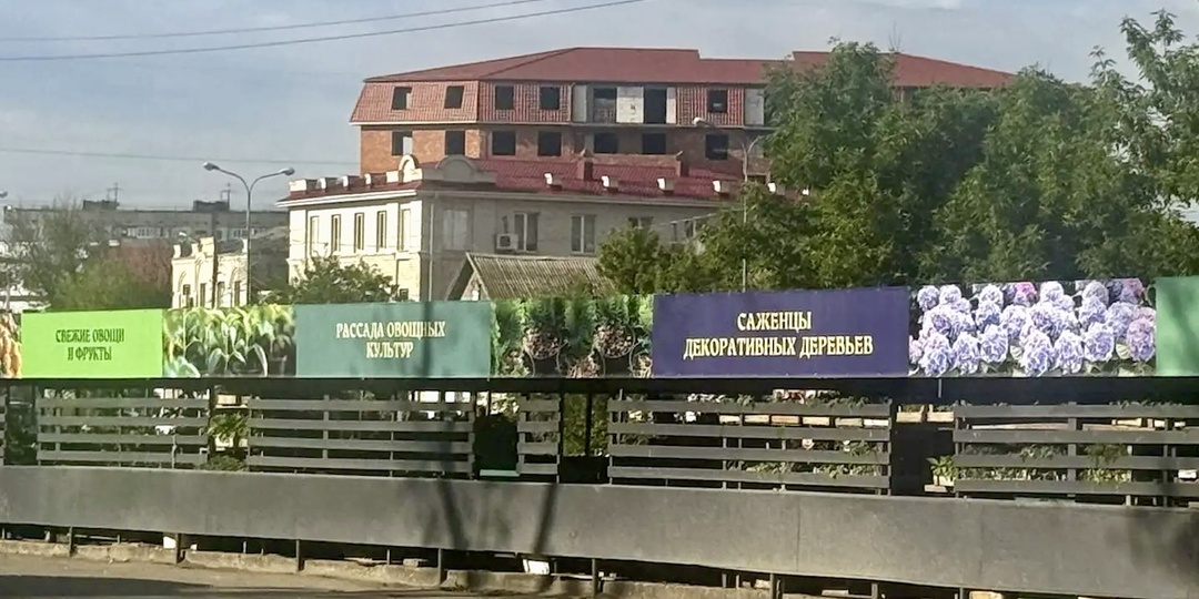 «Зелёные ряды» у Красного моста: новый облик и цивилизованная торговля