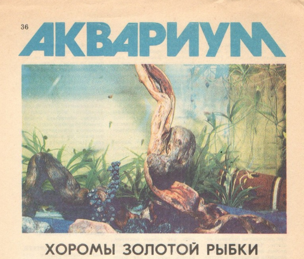 Спасибо одной моей подписчице, которая поделилась со мной такими раритетными сканами старого журнала "Юный натуралист"!