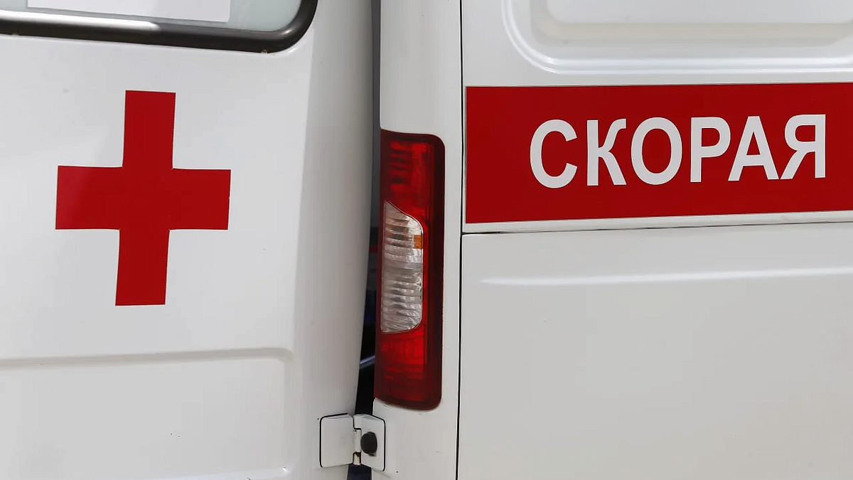    Фото: телеканал «Краснодар»