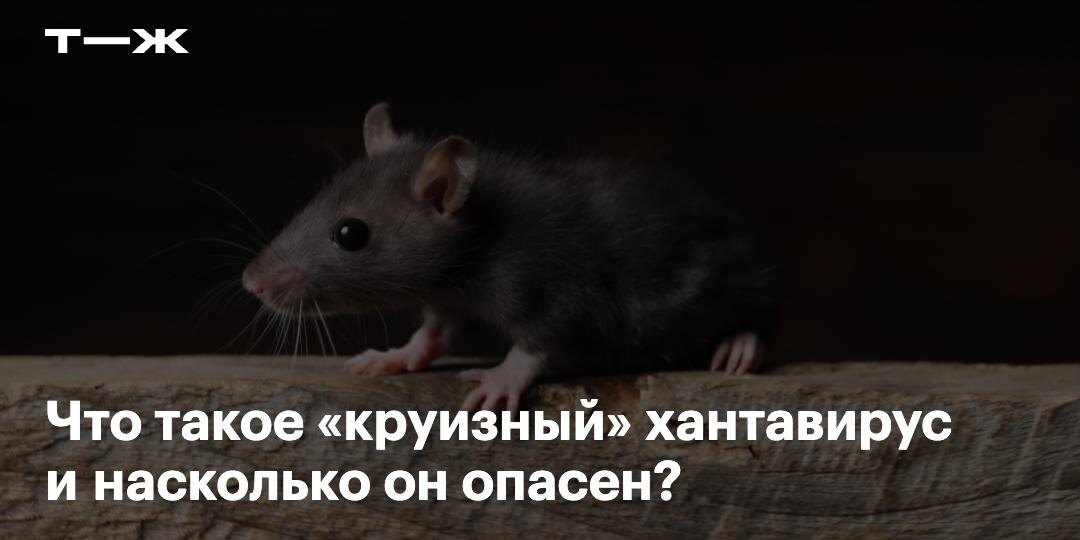 Уровень боли от необходимости работать после долгих выходных