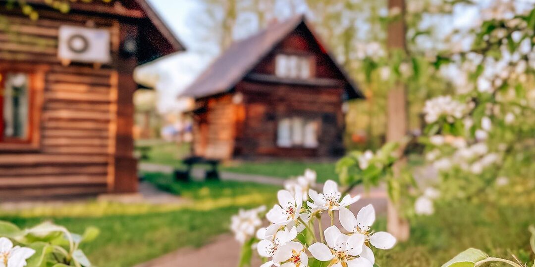 Где остановиться в Смоленской области? Наш секрет: клуб-отель «Высокое» с ежиками, джазом и яблоневыми садами.