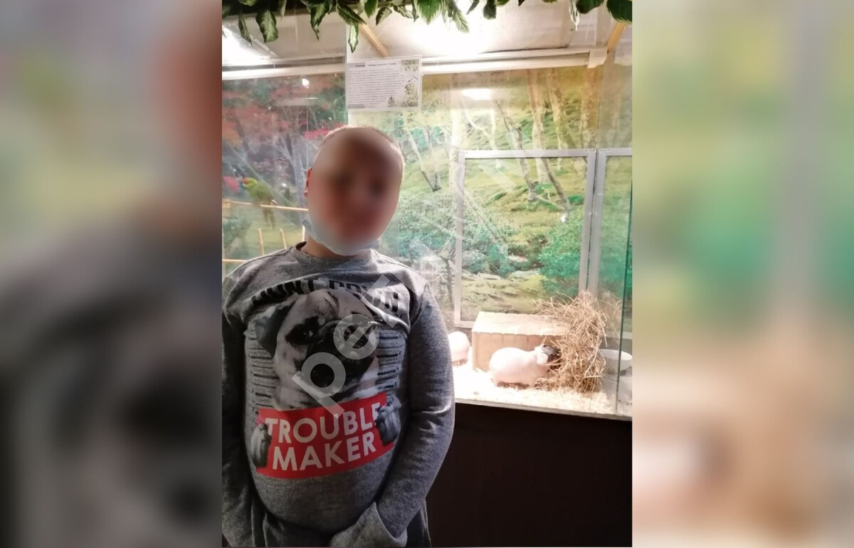     / Источник: Социальные сети