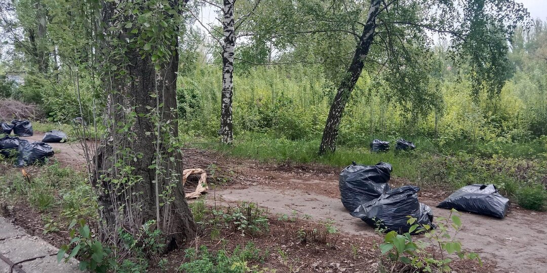 На Больничных прудах в Балакове прошёл субботник