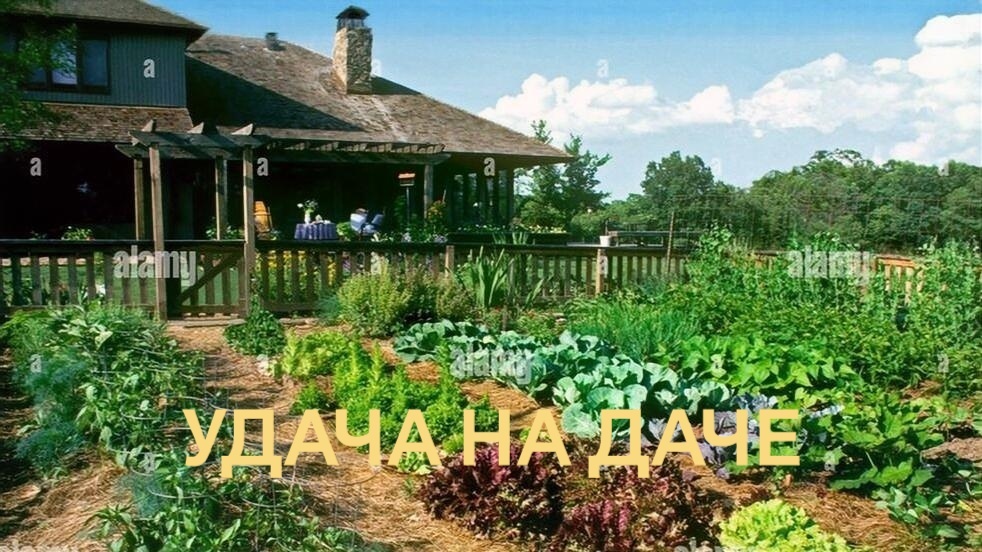 Дачные ритуалы на удачу и хороший урожай