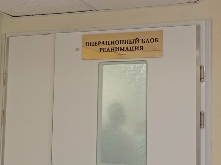     Фото: Наталья Балаболкина