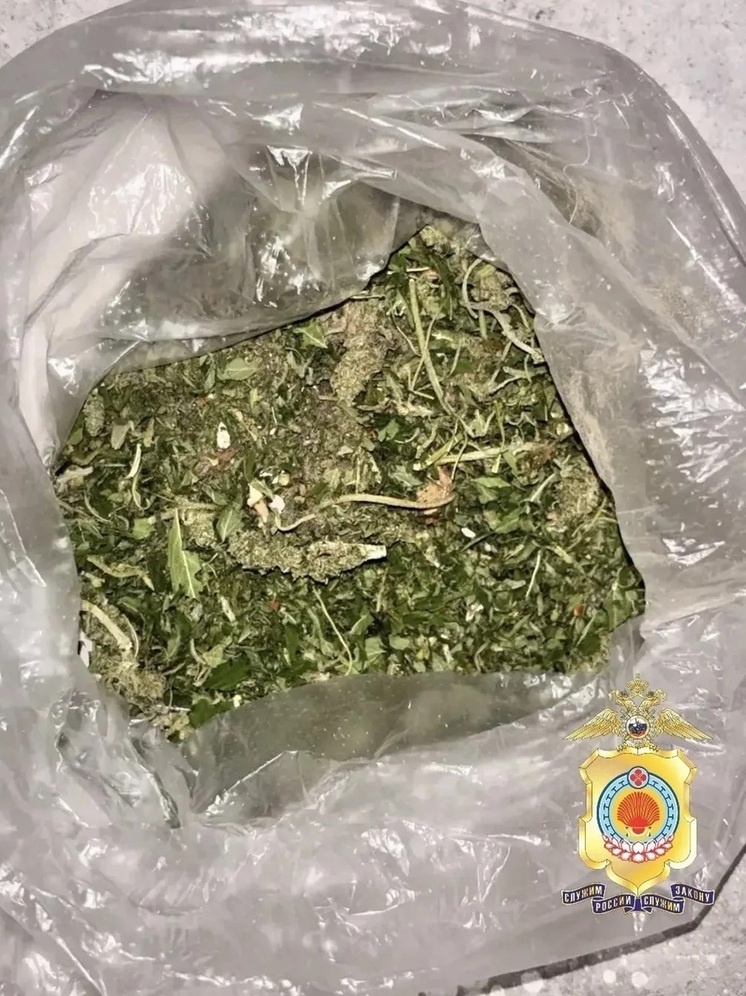     Фото: пресс-служба МВД