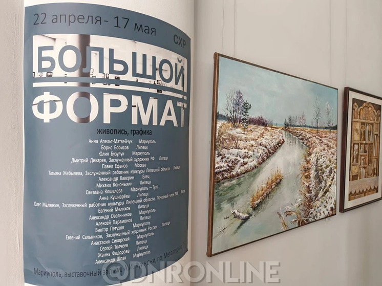     фото: "днр онлайн" в мах