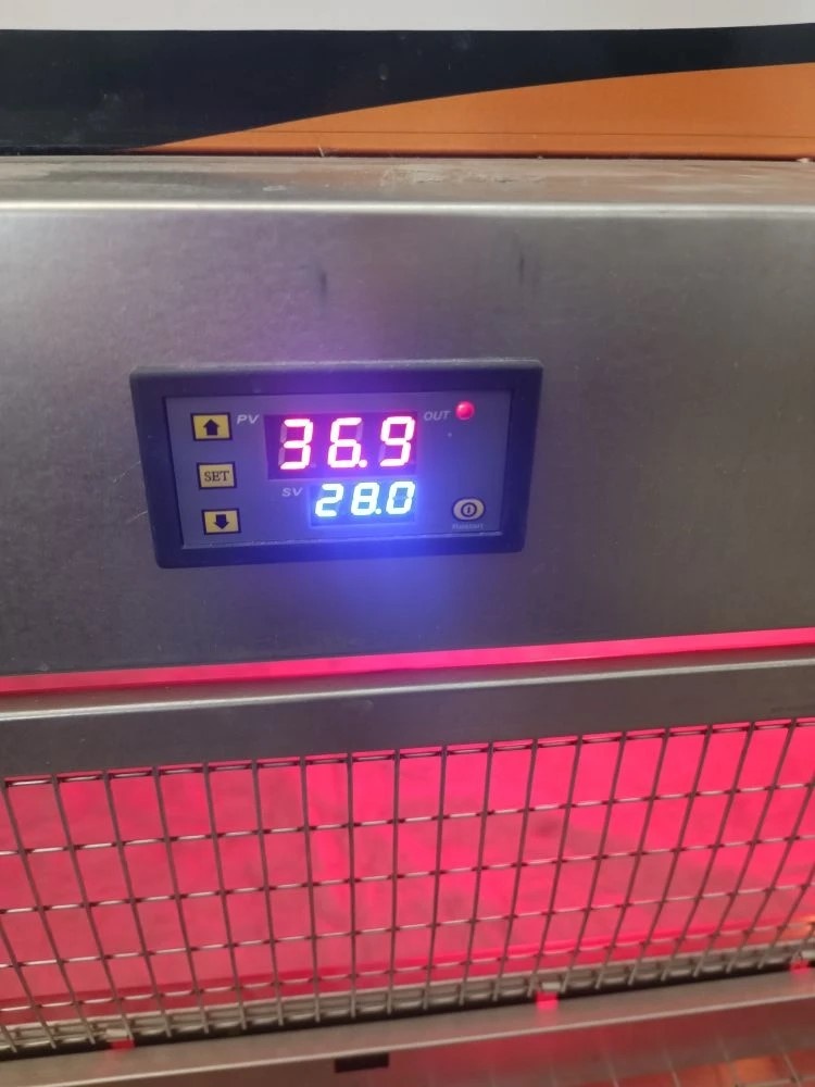 -2