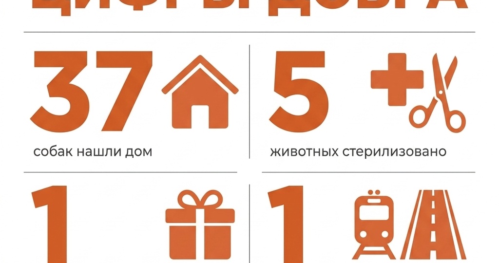Бим стал москвичом, а Иван из Гиганта вместо подарков пожертвовал деньги на корм: работа сальских зооволонтёров
