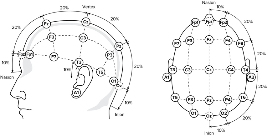 Fig. 1. International 10-20 system of electrode placement