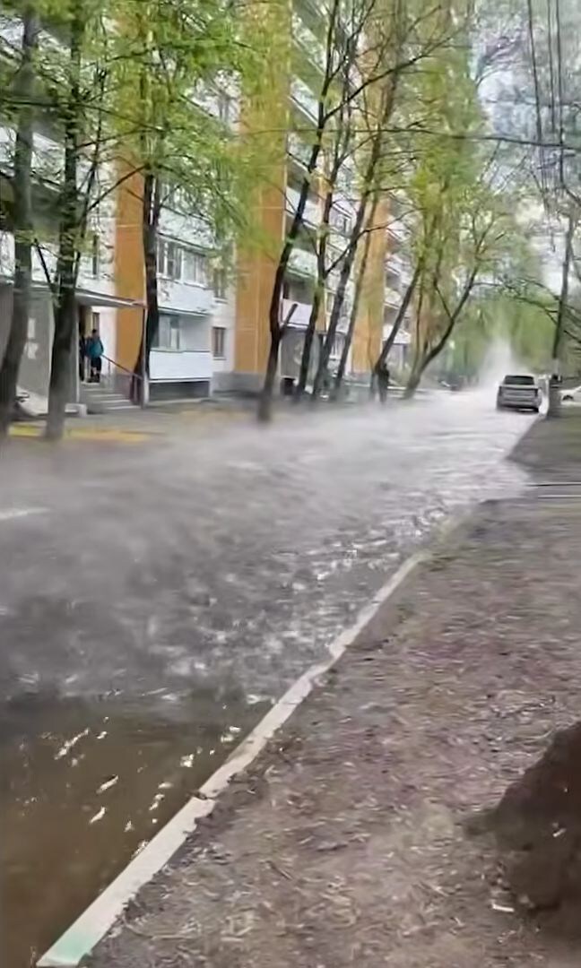 Скрин видео из соцсетей