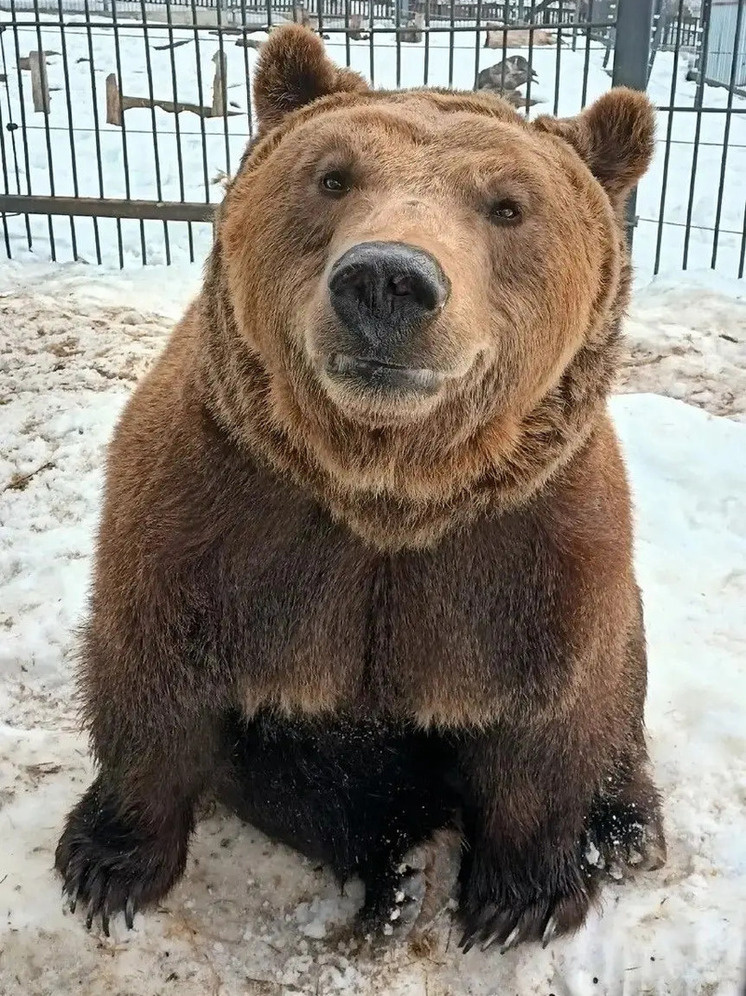     Фото: https://max.ru/zoo_pnz