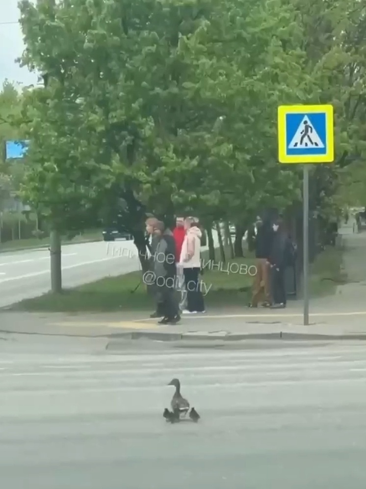     фото: скриншот из соцсетей