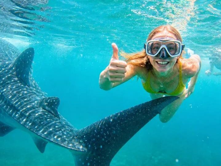 🦈 Экскурсия "Снорклинг с китовыми акулами и мантами на Мальдивах с острова Гурайдо