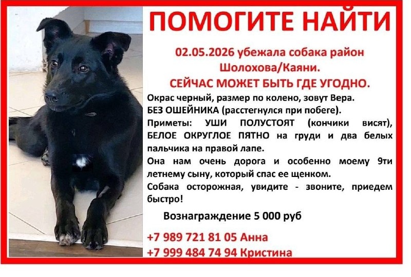 ПОМОГИТЕ НАЙТИ