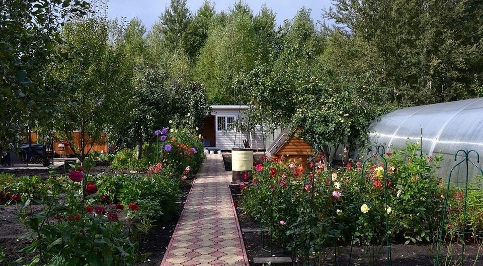 IVD.ru